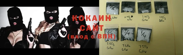 крисы Алексин