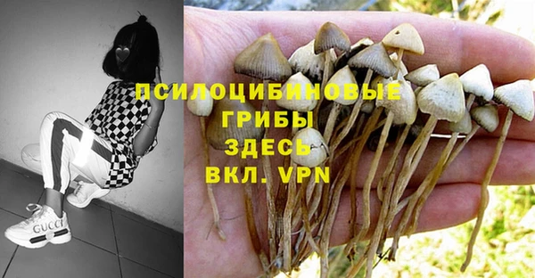 а пвп мука Алзамай
