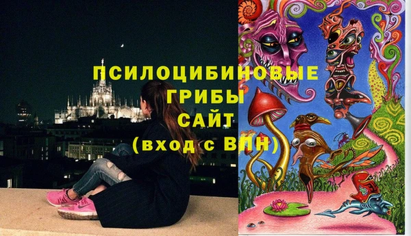 крисы Алексин