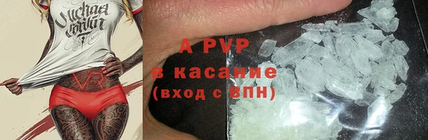 гашик Няндома