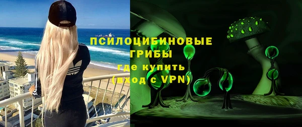крисы Алексин