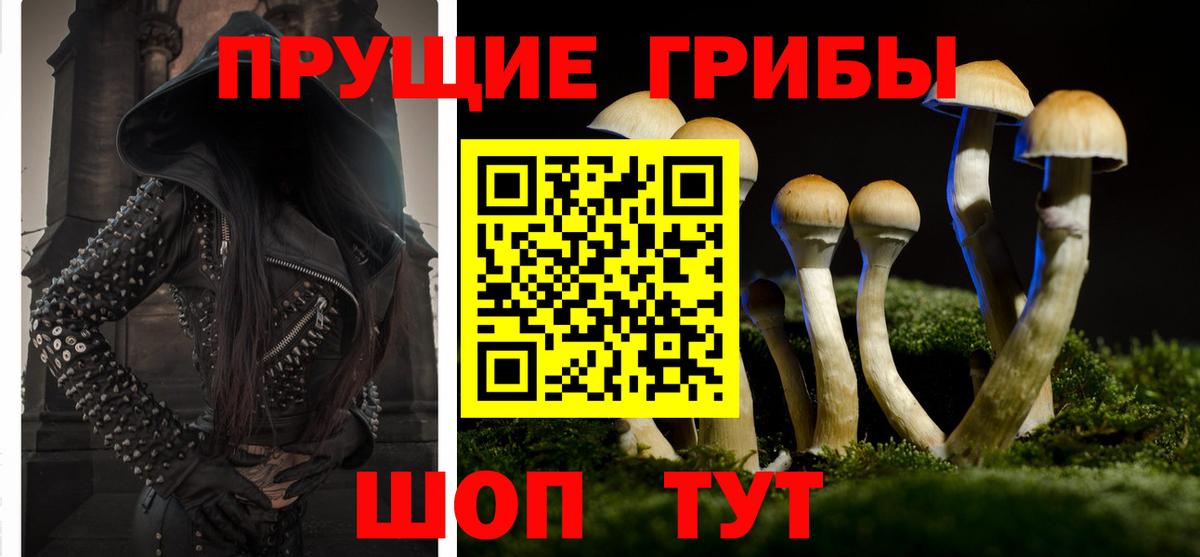 Псилоцибиновые грибы ЛСД  Галлюциногенные грибы мухоморы  Североуральск  Вход с VPN 
